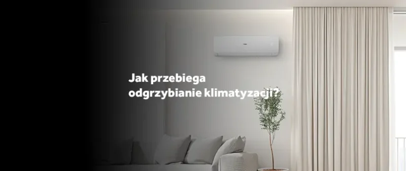 Jak przebiega odgrzybianie klimatyzacji?